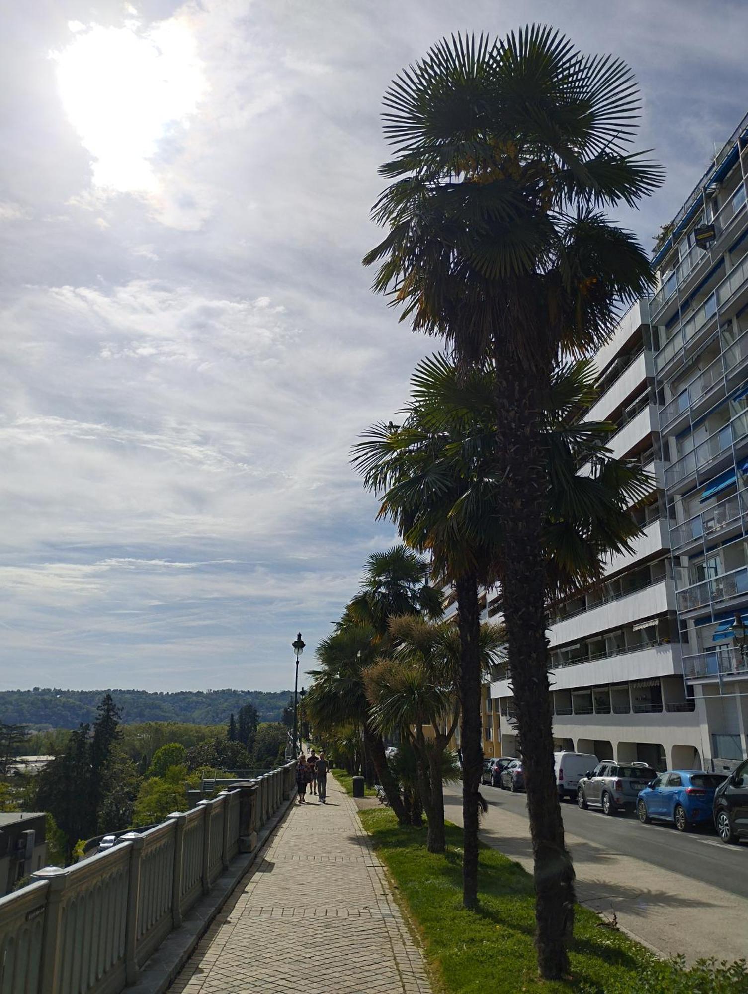 Chambrette Boulevard Des Pyrenees Hypercentre 10m Carre Wc Sur Le Palier, Porte40 Appartement *